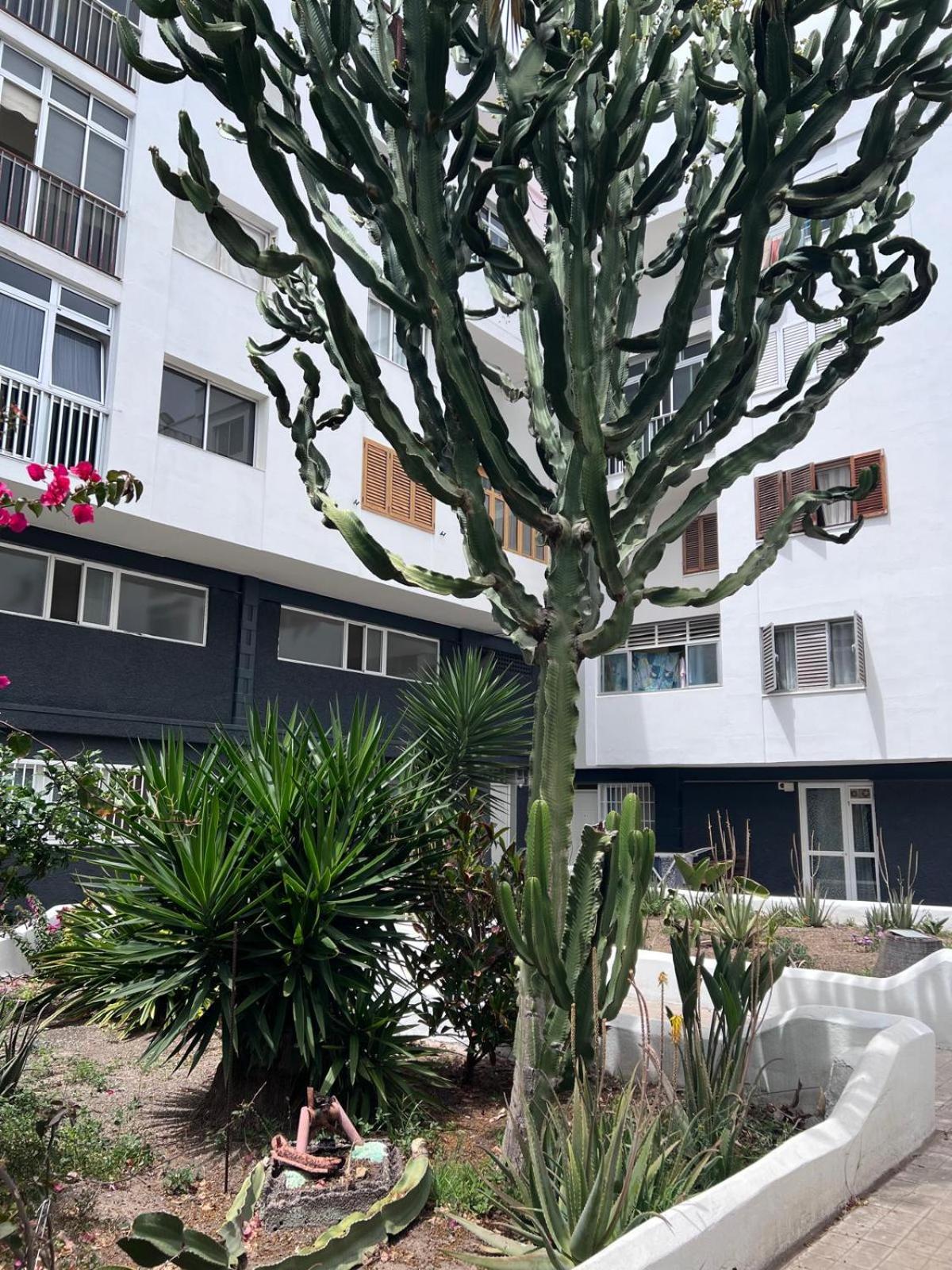Relax Park Hotel Las Palmas de Gran Canaria Bagian luar foto